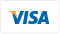 Web hosting services accept visa credit cards
